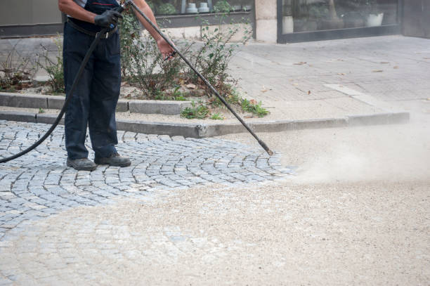 Best Fence Cleaning and Maintenance in Dixon, KY