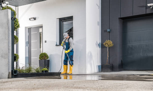 Best Soft Washing for Delicate Surfaces in Dixon, KY